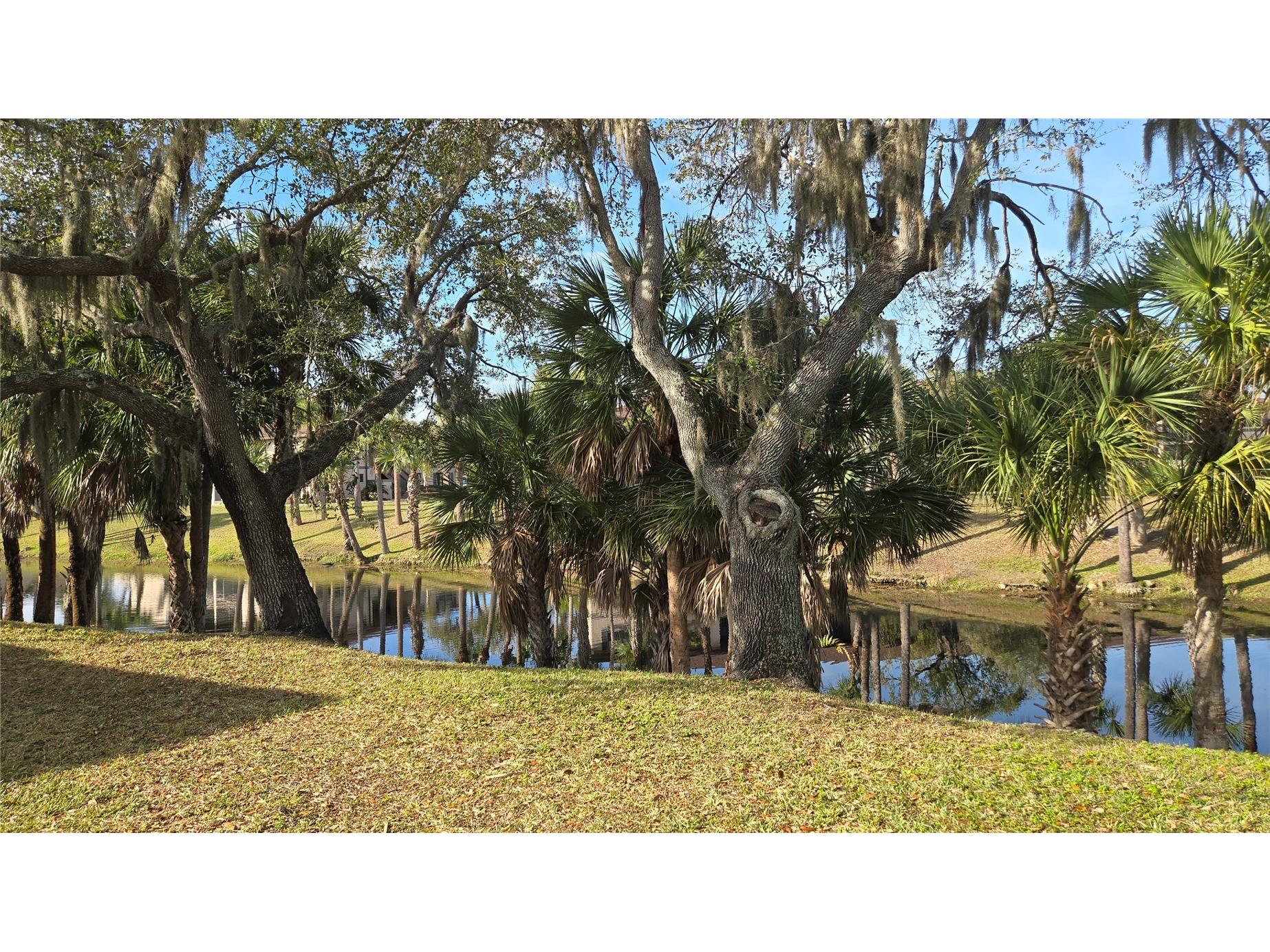 1515 Forrest Nelson Boulevard #O104 Port Charlotte FL 33952 C7521082 image44