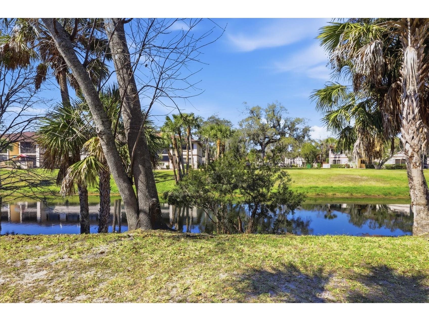 1515 Forrest Nelson Boulevard #P105 Port Charlotte FL 33952 D6146336 image25
