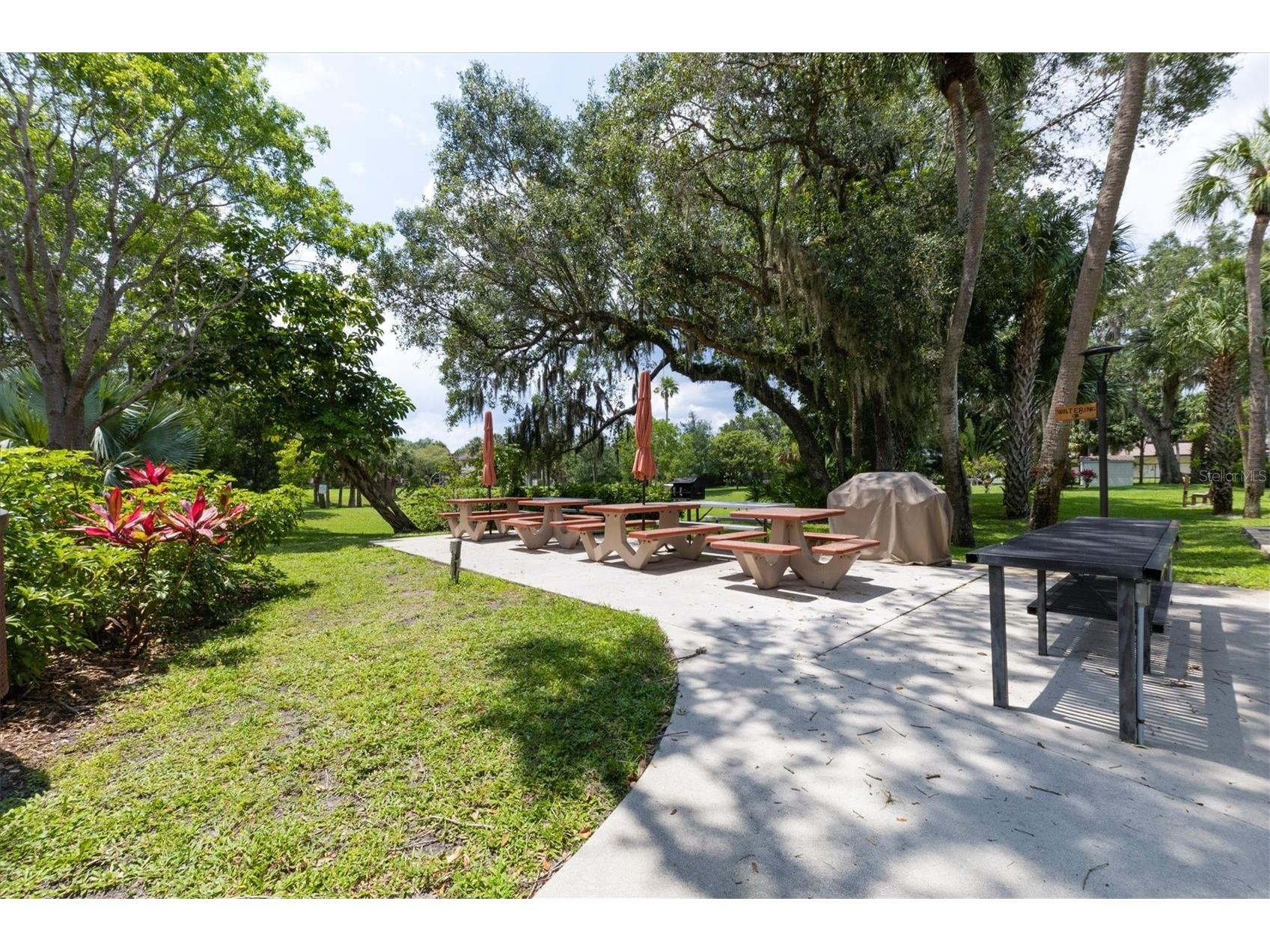 1515 Forrest Nelson Boulevard #P105 Port Charlotte FL 33952 D6146336 image35