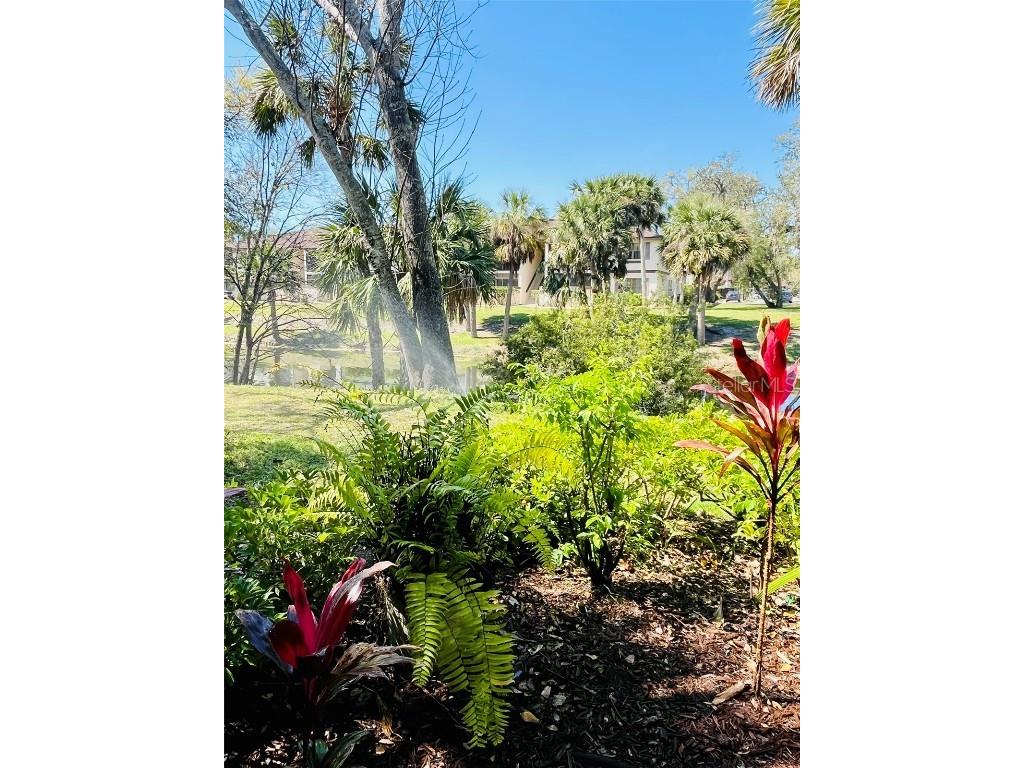 1515 Forrest Nelson Boulevard #P107 Port Charlotte FL 33952 A4640328 image22