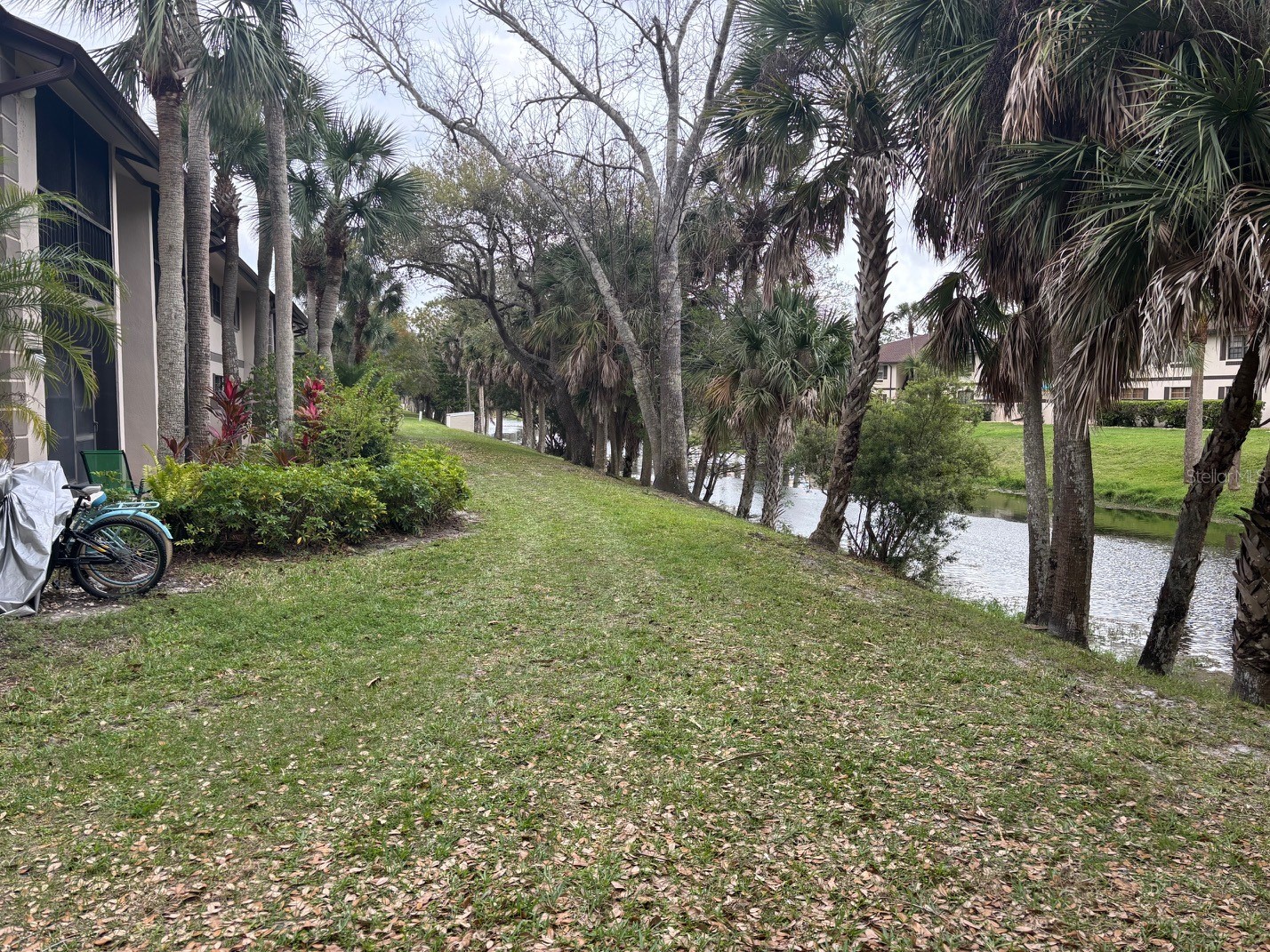 1515 Forrest Nelson Boulevard #P208 Port Charlotte FL 33952 C7523346 image5