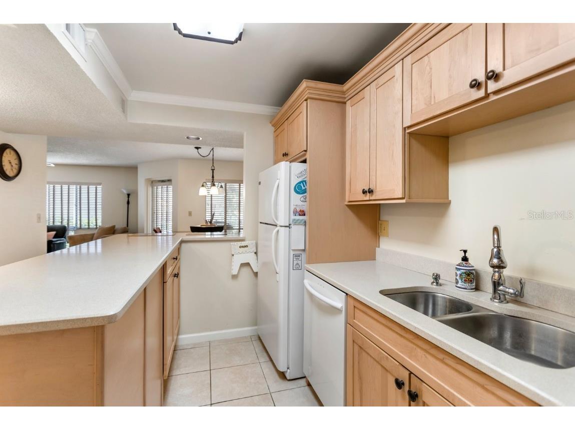 1515 Pinellas Bayway #C31 Tierra Verde FL 33715 U8026680 image7