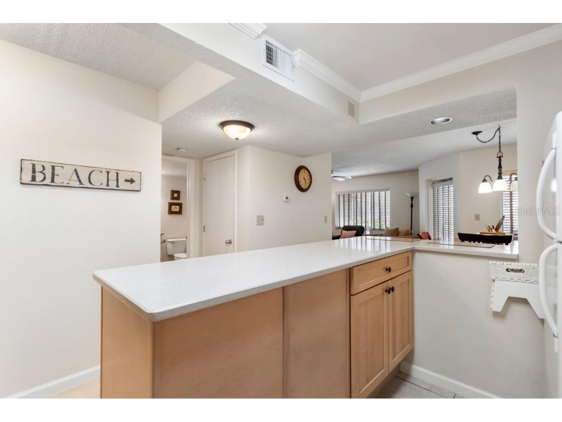 1515 Pinellas Bayway #C31 Tierra Verde FL 33715 U8026680 image8