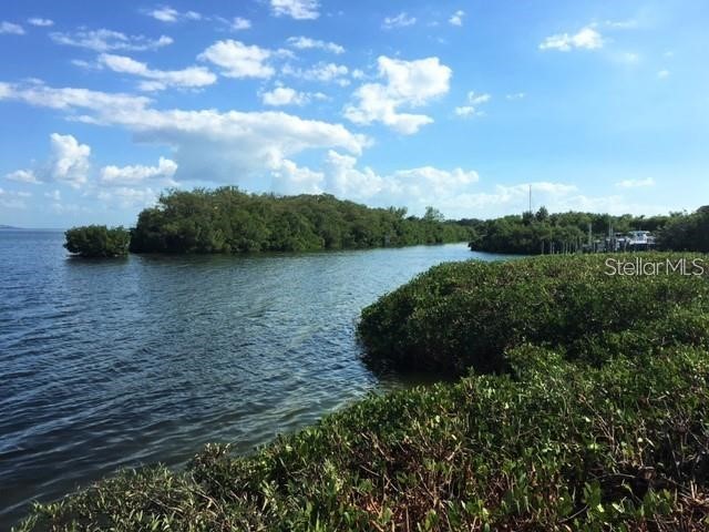 1515 Pinellas Bayway S #15 Tierra Verde FL 33715 - TAMPA BAY TB8445086 image16