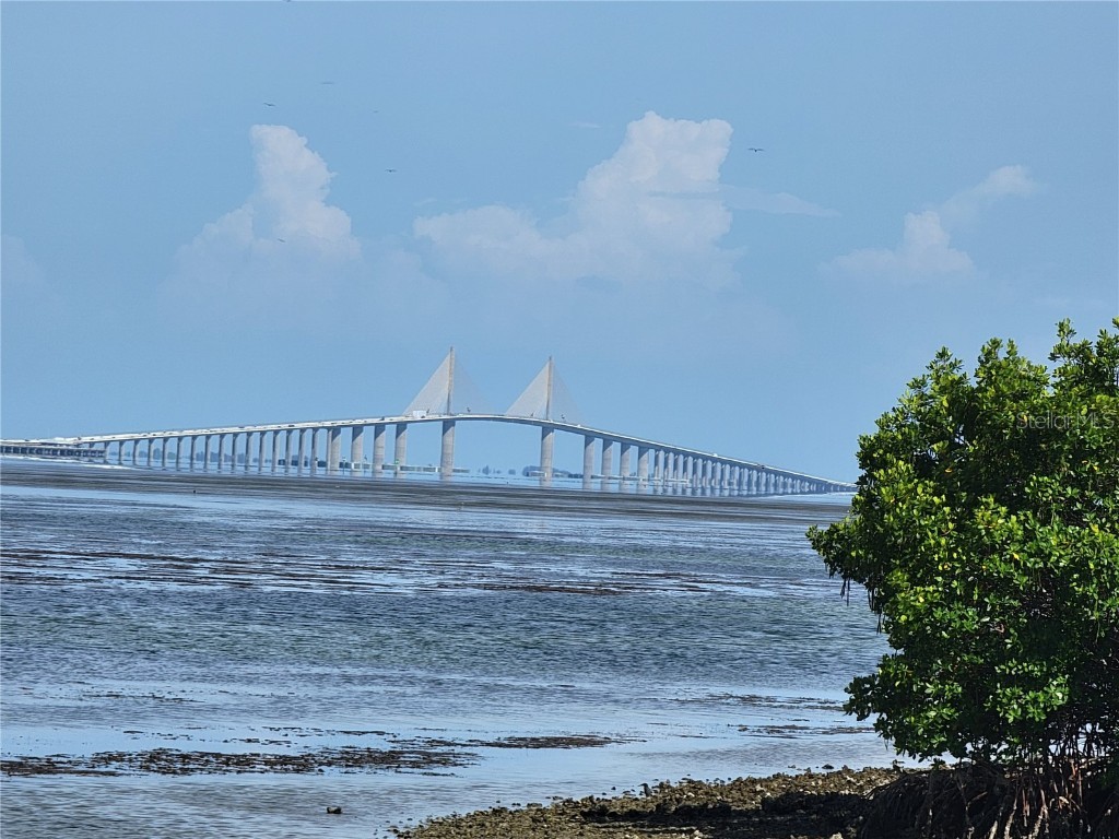 1515 Pinellas Bayway S #38 Tierra Verde FL 33715 U8207154 image44