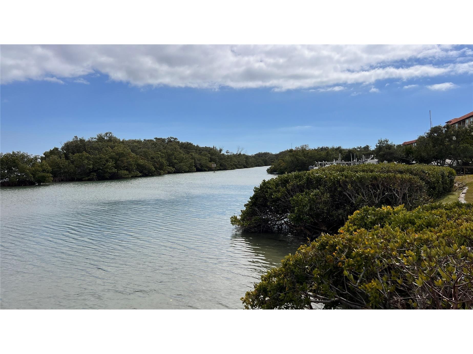 1515 Pinellas Bayway S #46 Tierra Verde FL 33715 - TAMPA BAY TB8470858 image52