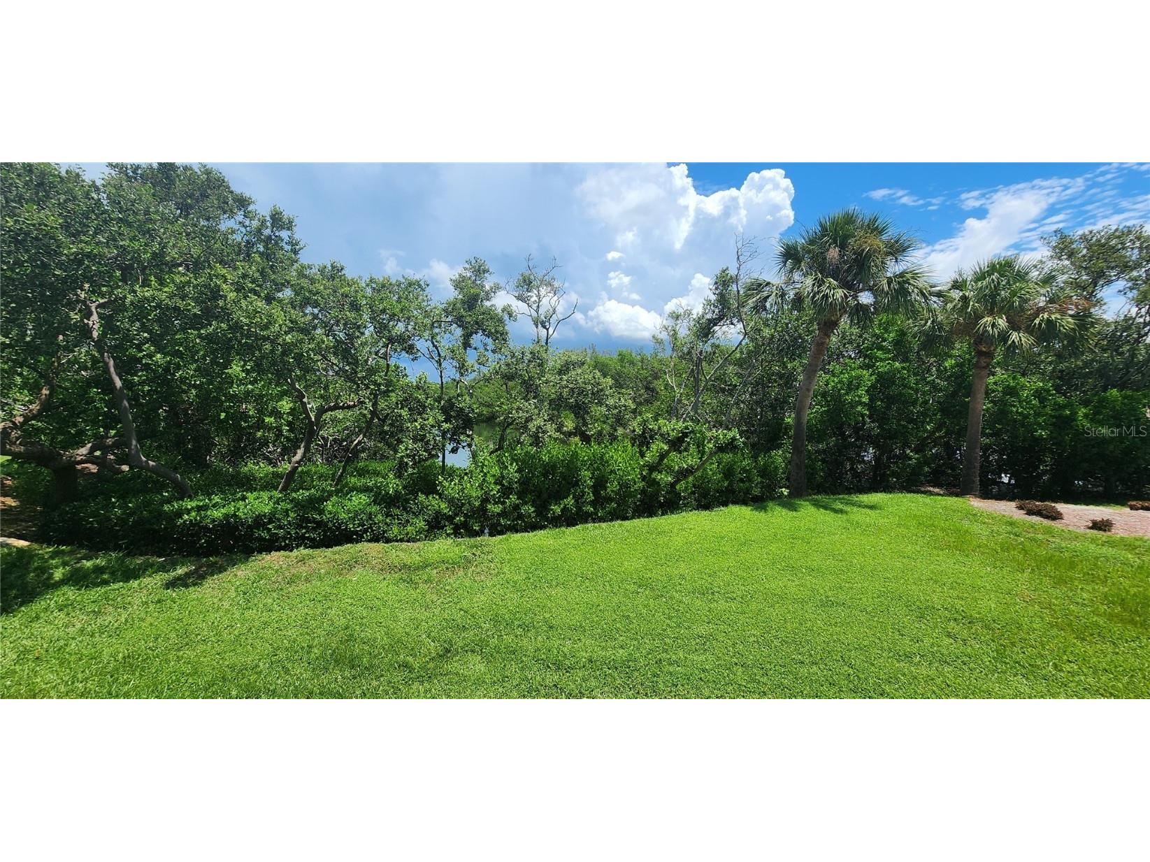 1515 Pinellas Bayway S #62 Tierra Verde FL 33715 U8214867 image30