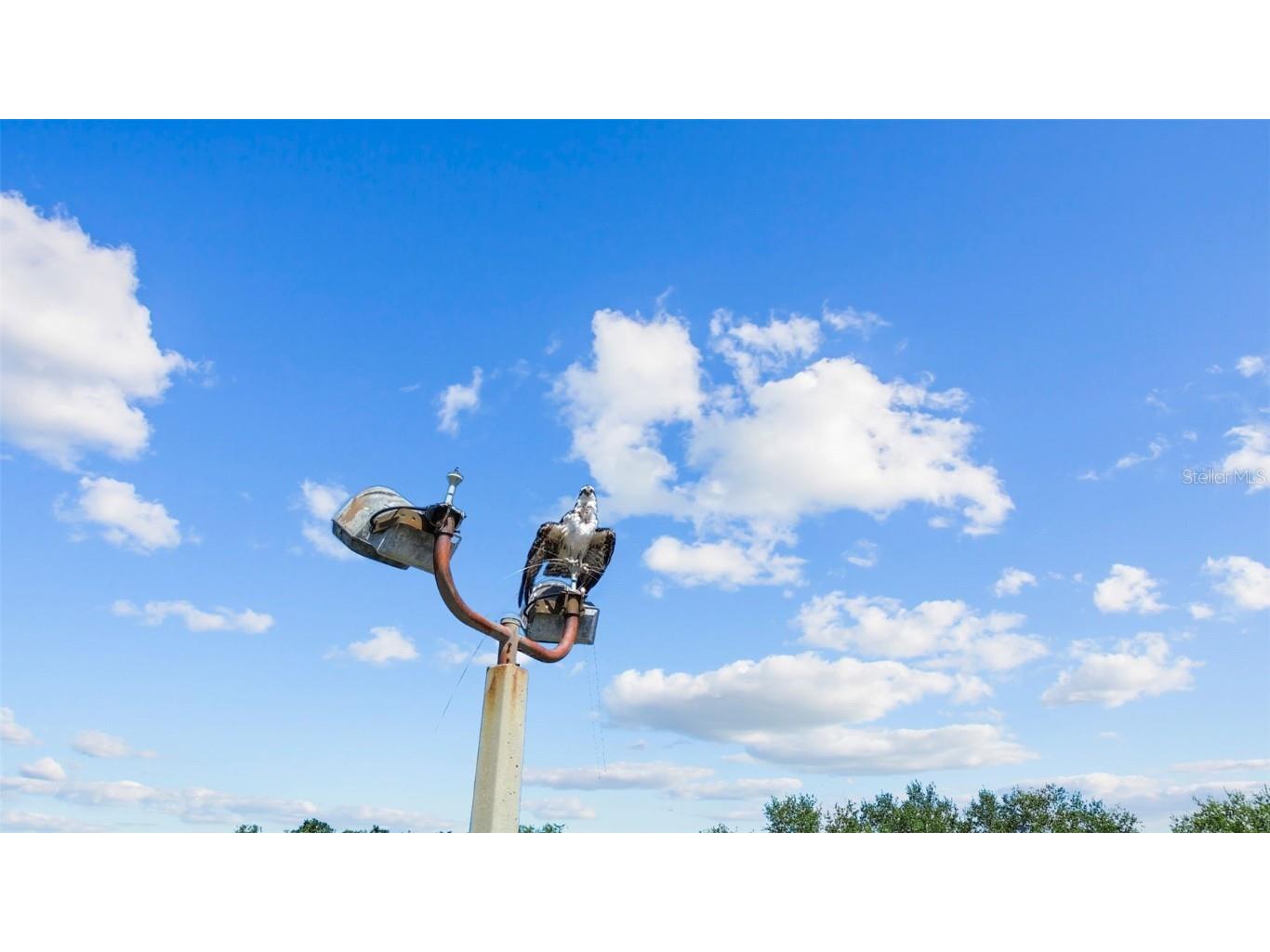 1515 Pinellas Bayway S #65 Saint Petersburg FL 33715 U8253569 image53