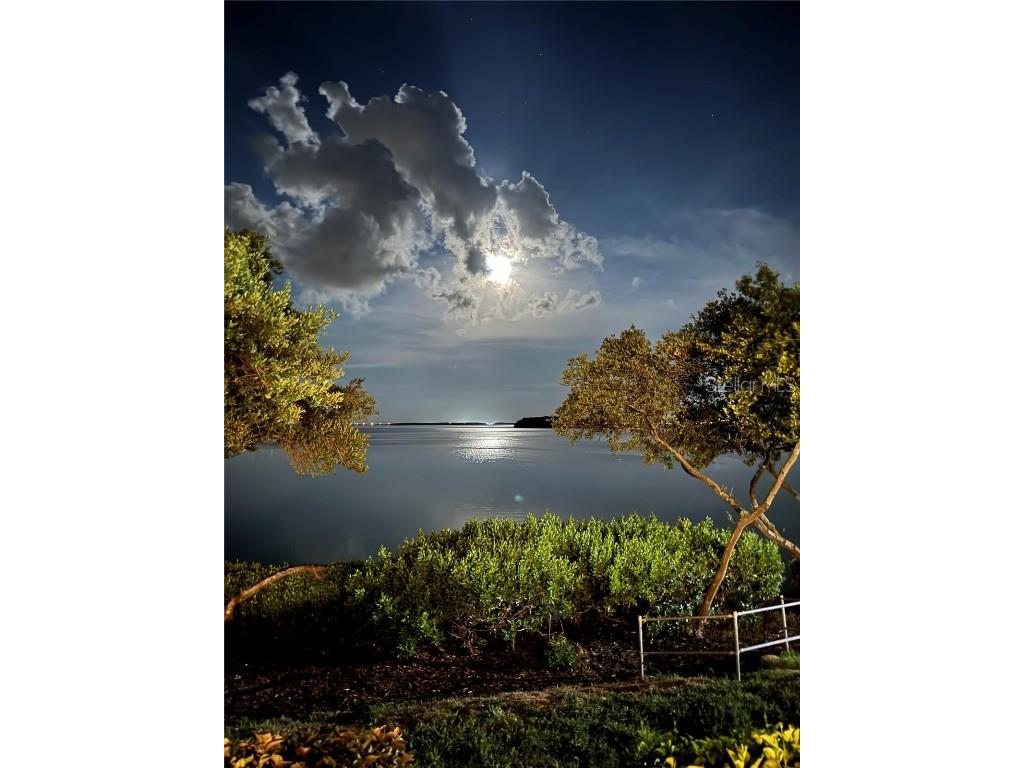 1515 Pinellas Bayway S #65 Saint Petersburg FL 33715 U8253569 image58