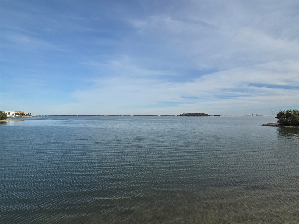 1515 Pinellas Bayway S #A6 Tierra Verde FL 33715 TB8447384 image29