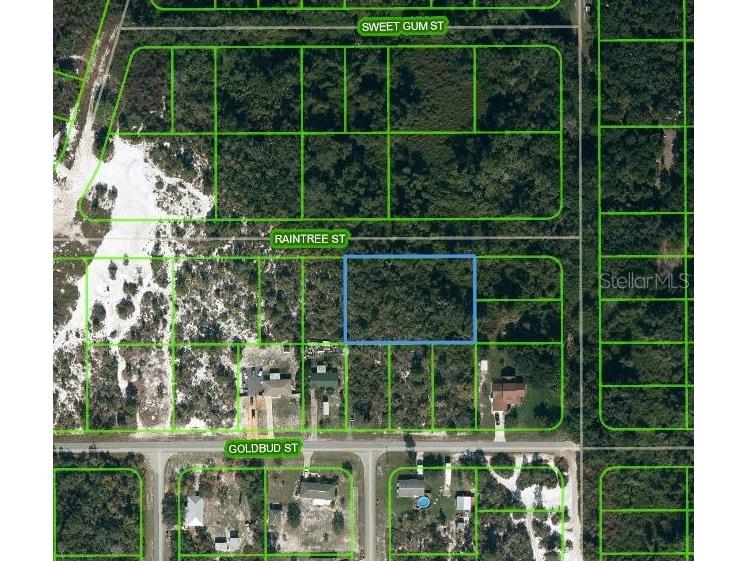 1515 Raintree Street Lake Placid FL 33852 OM624735 image1