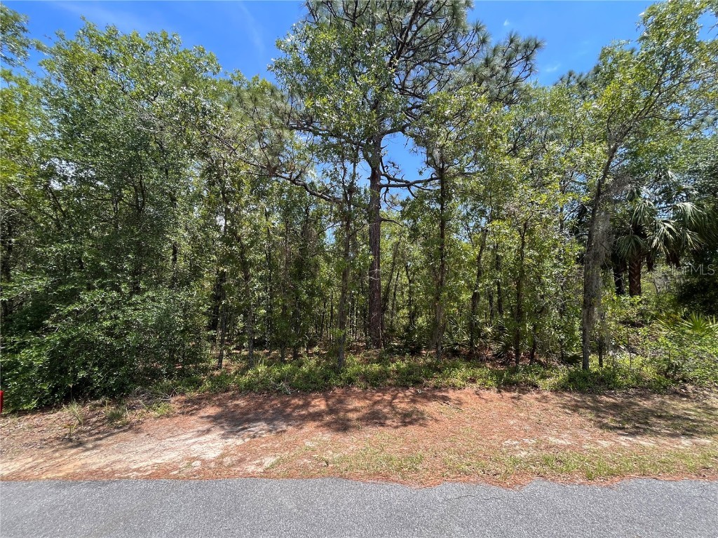 1515 S Iroquois Avenue Homosassa FL 34448 OM662302 image1