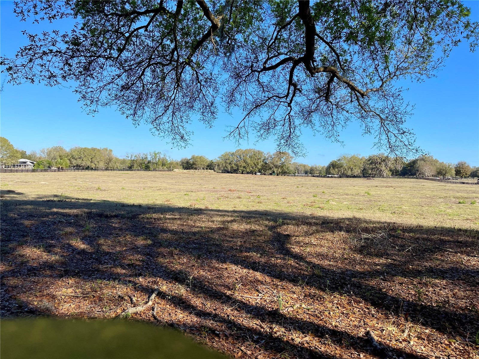 15153 SE 73rd Avenue Summerfield FL 34491 OM720105 image1