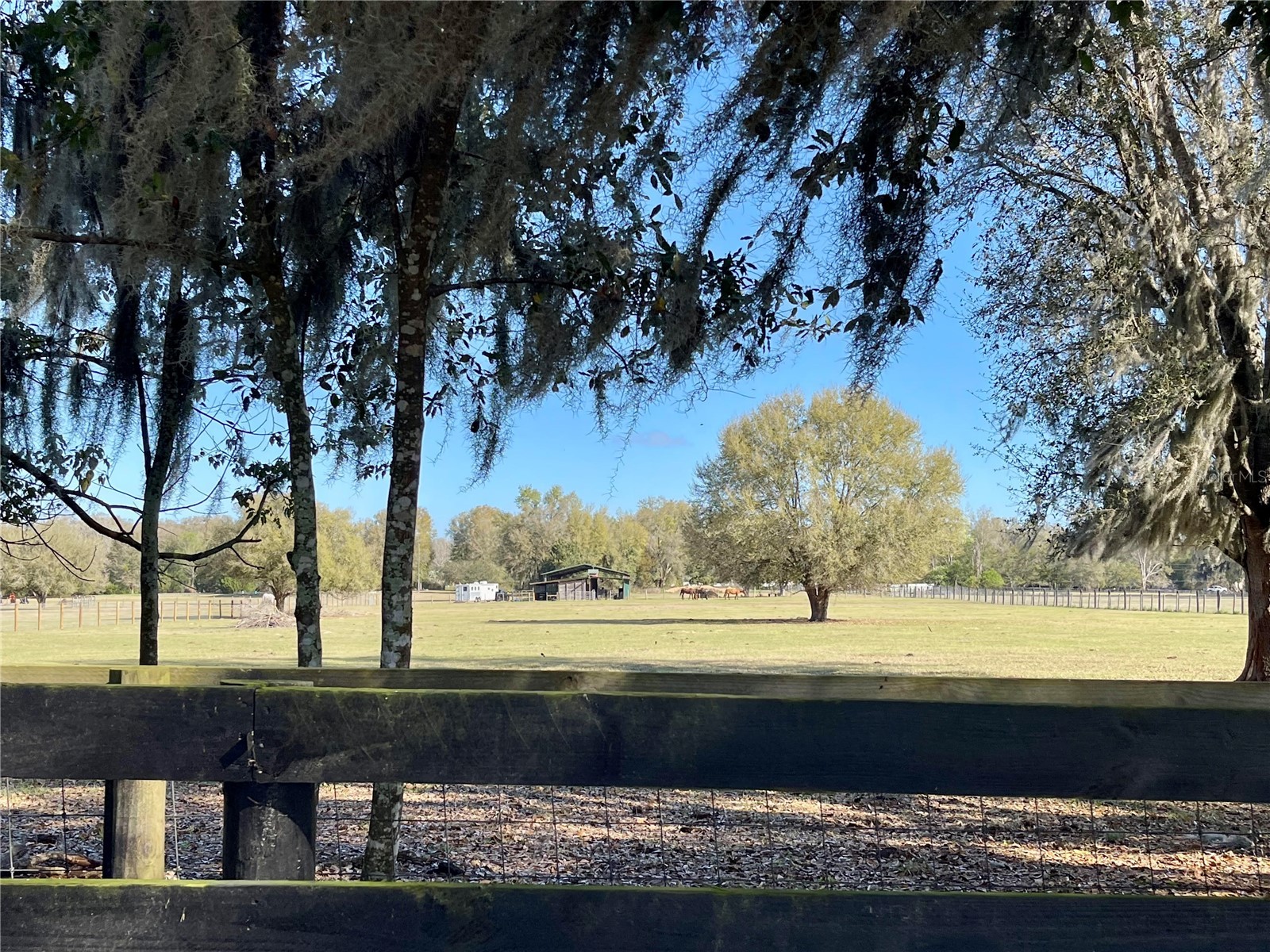 15153 SE 73rd Avenue Summerfield FL 34491 OM720105 image12