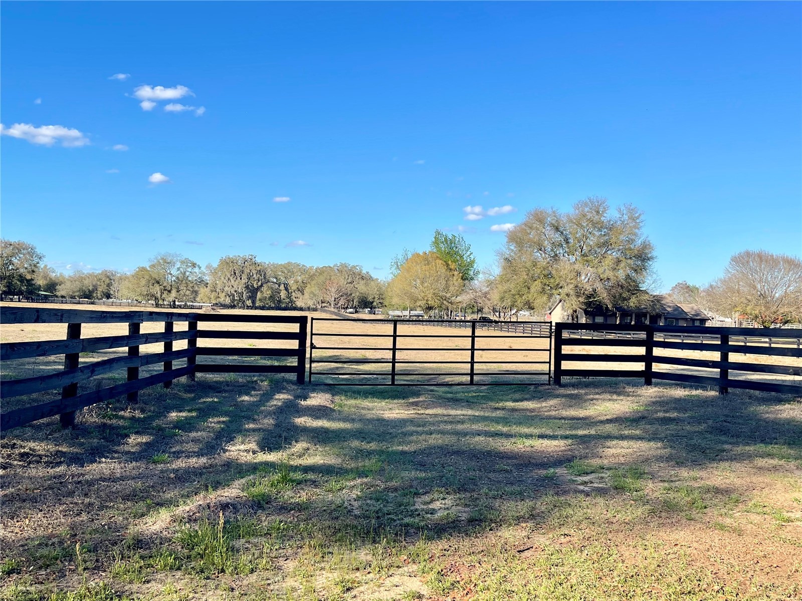 15153 SE 73rd Avenue Summerfield FL 34491 OM720105 image3