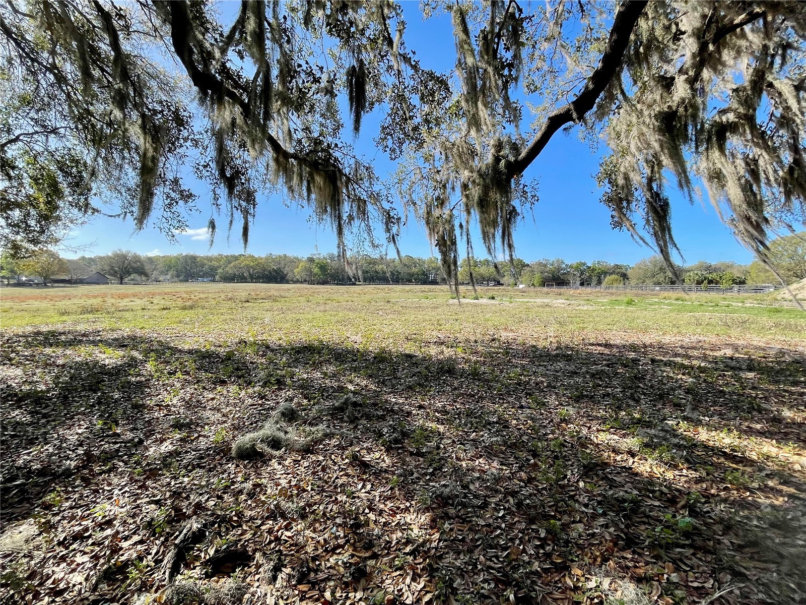 15153 SE 73rd Avenue Summerfield FL 34491 OM720105 image9