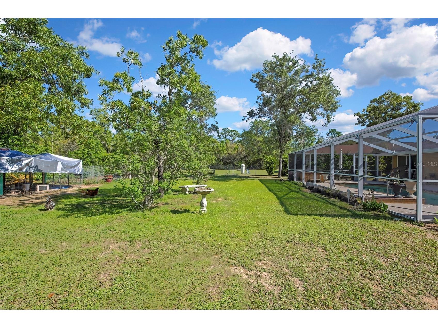 15157 Duck Hawk Road Weeki Wachee FL 34614 W7885013 image40