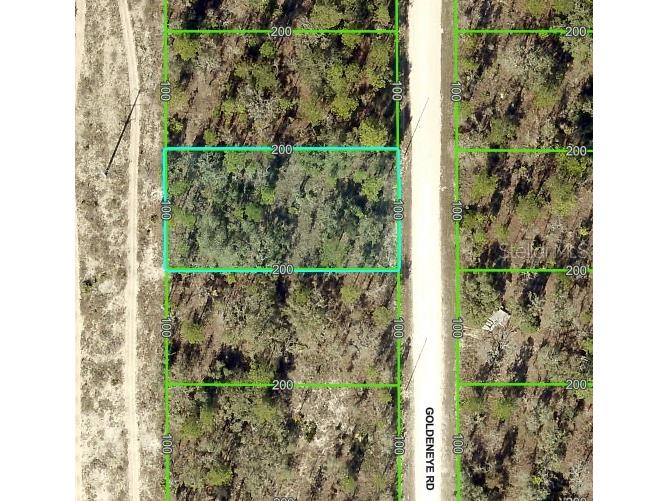 15157 Goldeneye Road Weeki Wachee FL 34614 W7875312 image1