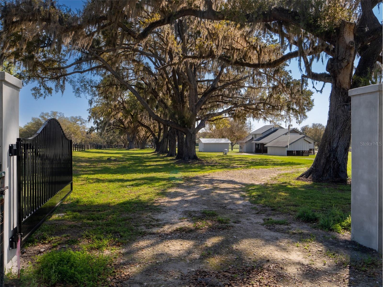 15157 NW 112th Place Road Morriston FL 32668 OM720512 image3