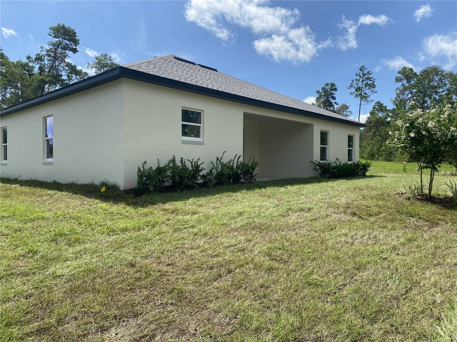 15158 Celeste Avenue Brooksville FL 34614 P4937943 image25