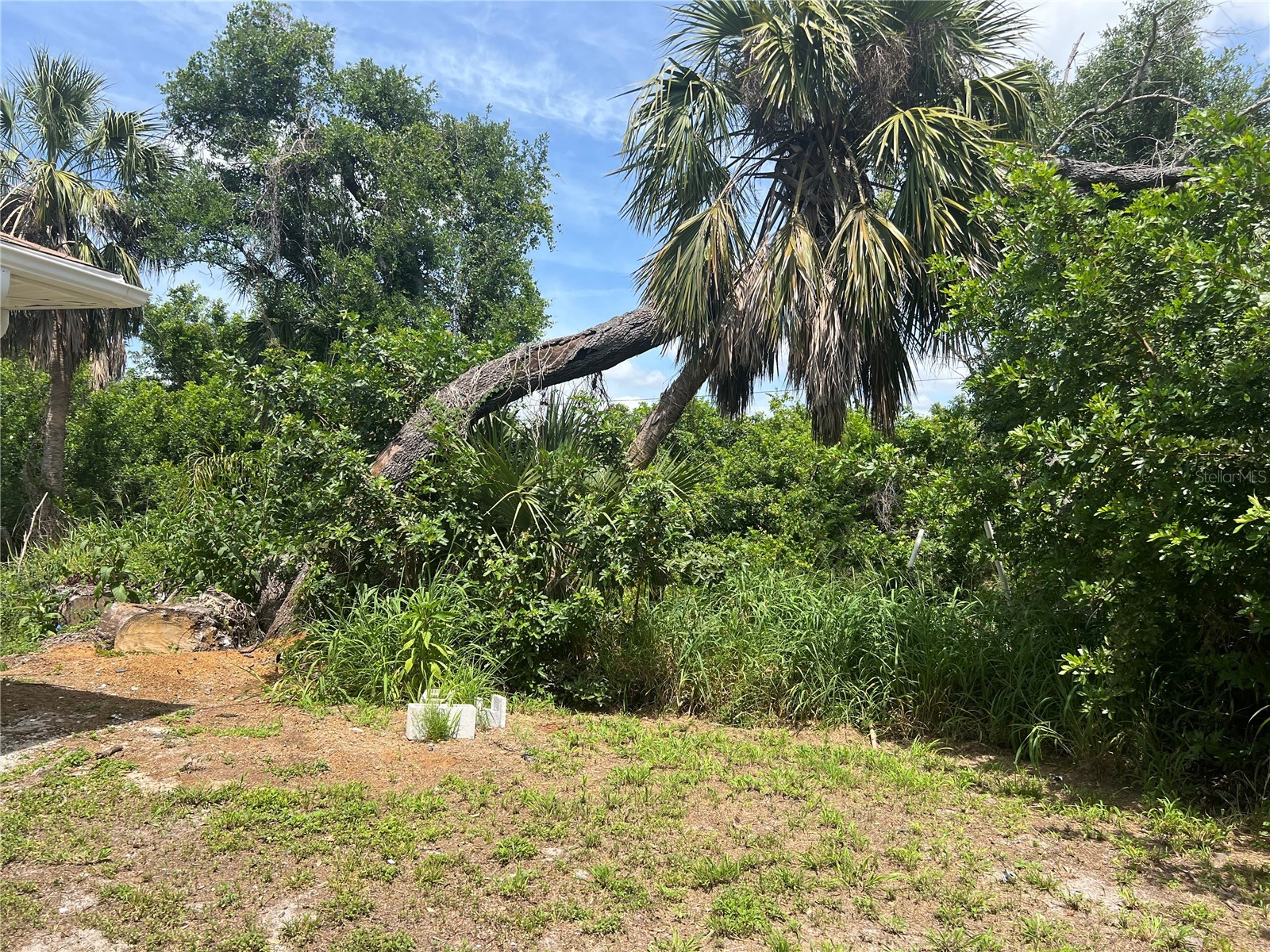 1516 Abel Street Port Charlotte FL 33952 C7526435 image40