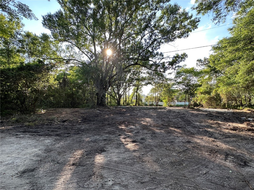 1516 Bear Woods Lane Apopka FL 32703 O6093966 image1