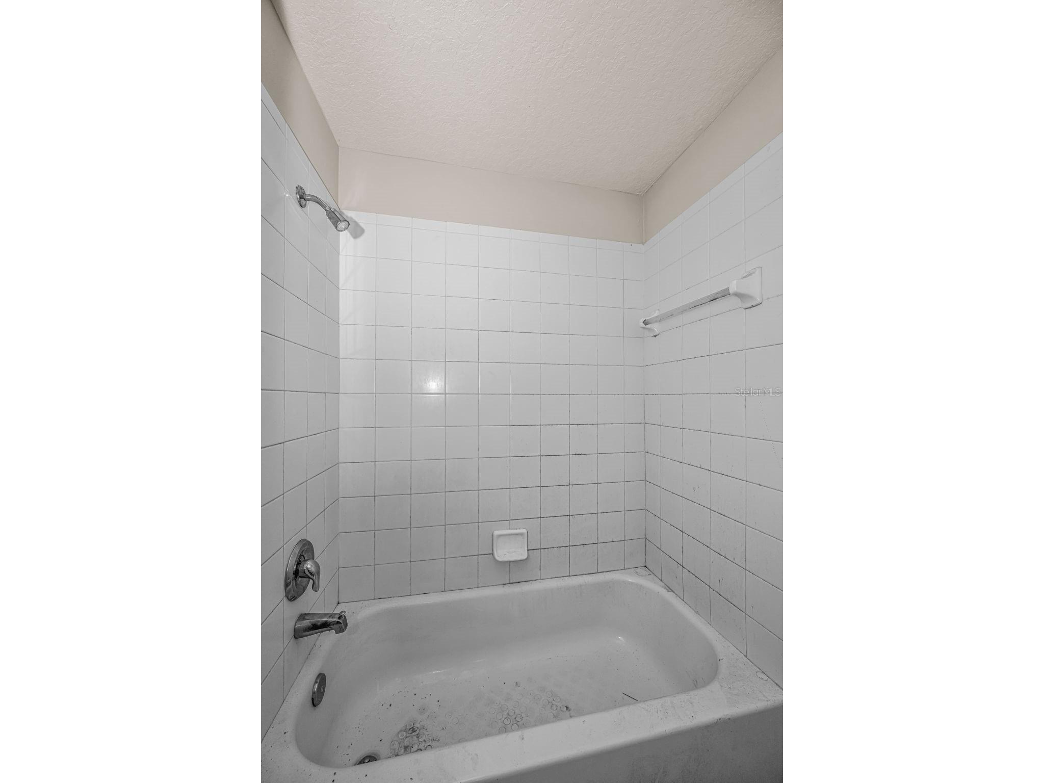 1516 E Eskimo Avenue Tampa FL 33604 TB8514977 image23