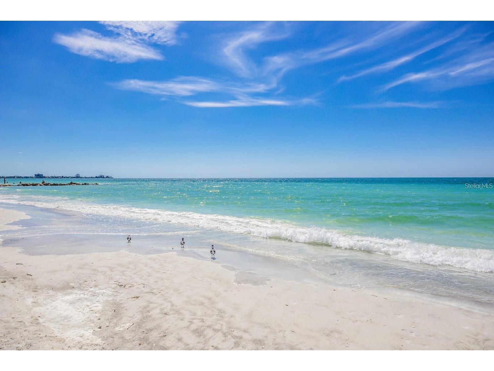 1516 Fox Creek Drive Sarasota FL 34240 A4683593 image93