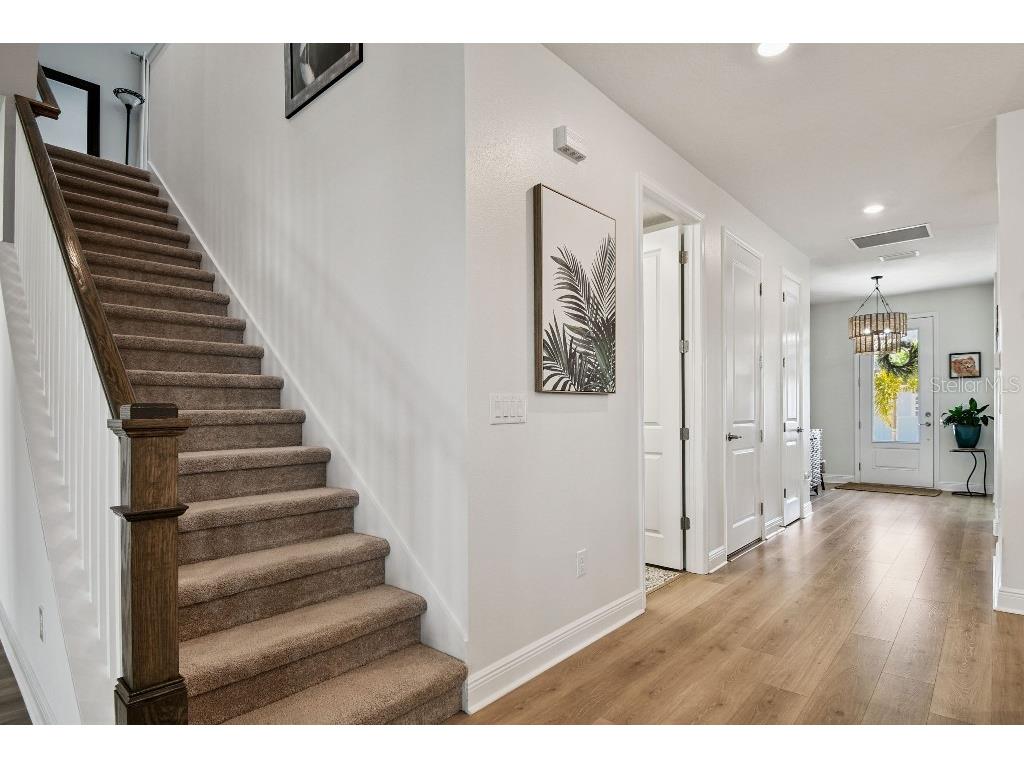 1516 Gopher Loop Tarpon Springs FL 34689 TB8419591 image23