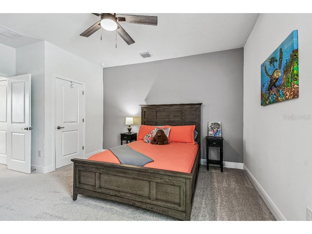 1516 Gopher Loop Tarpon Springs FL 34689 TB8419591 image26