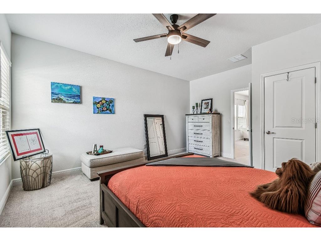 1516 Gopher Loop Tarpon Springs FL 34689 TB8419591 image27