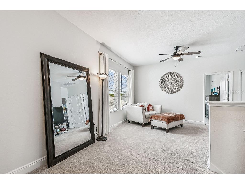 1516 Gopher Loop Tarpon Springs FL 34689 TB8419591 image28