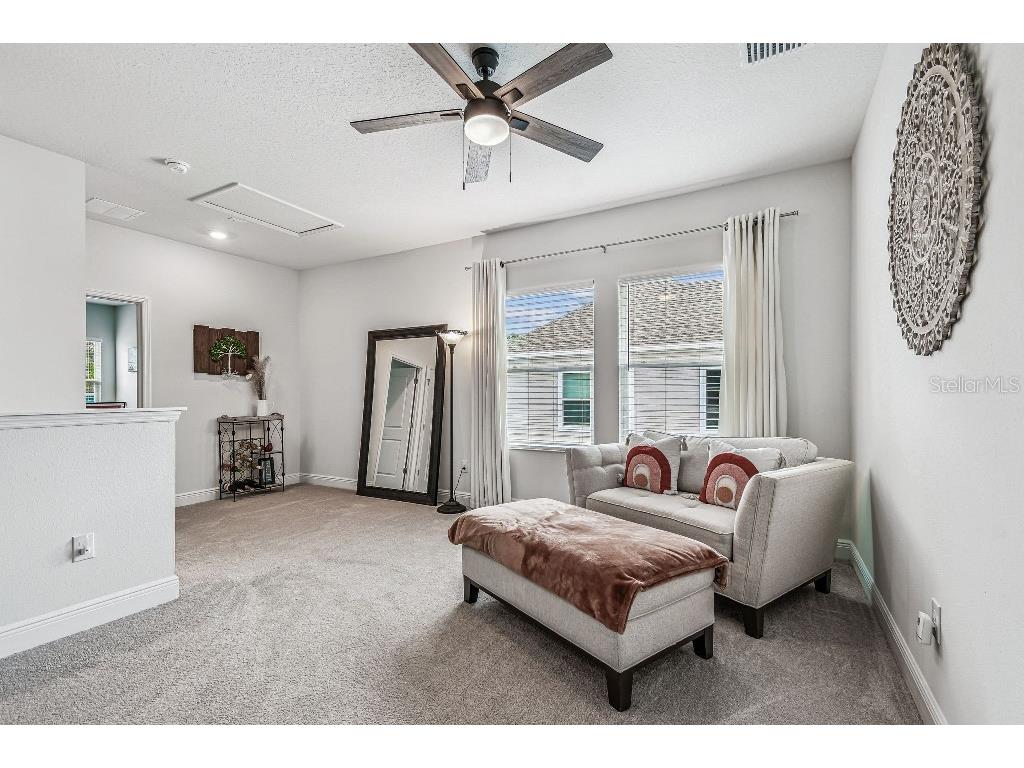 1516 Gopher Loop Tarpon Springs FL 34689 TB8419591 image30