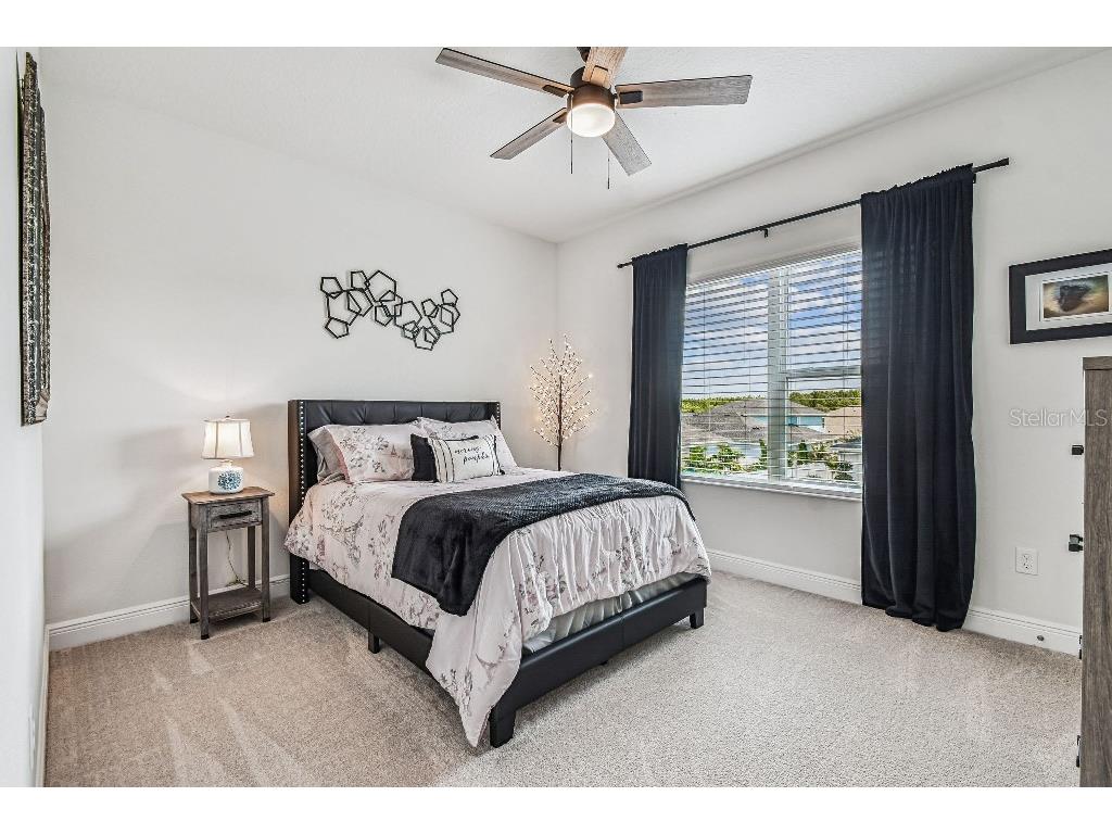 1516 Gopher Loop Tarpon Springs FL 34689 TB8419591 image31