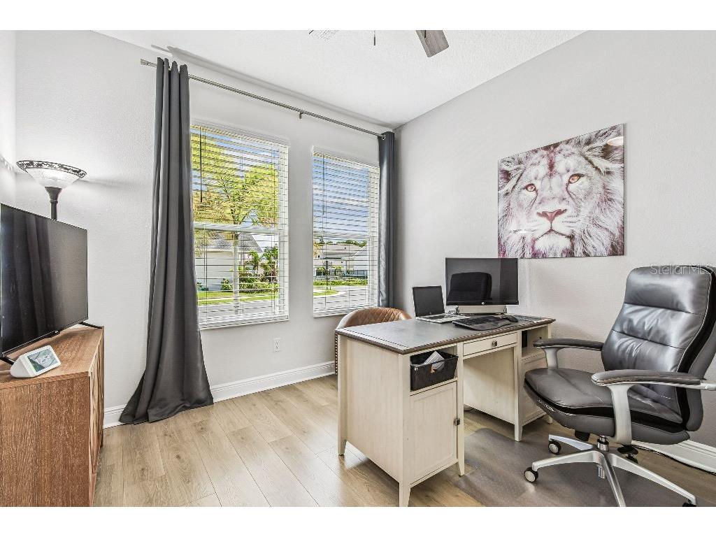 1516 Gopher Loop Tarpon Springs FL 34689 TB8419591 image5