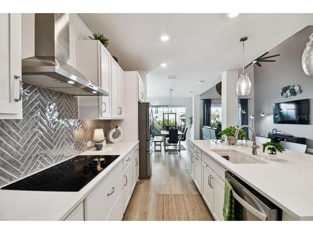 1516 Gopher Loop Tarpon Springs FL 34689 TB8419591 image9