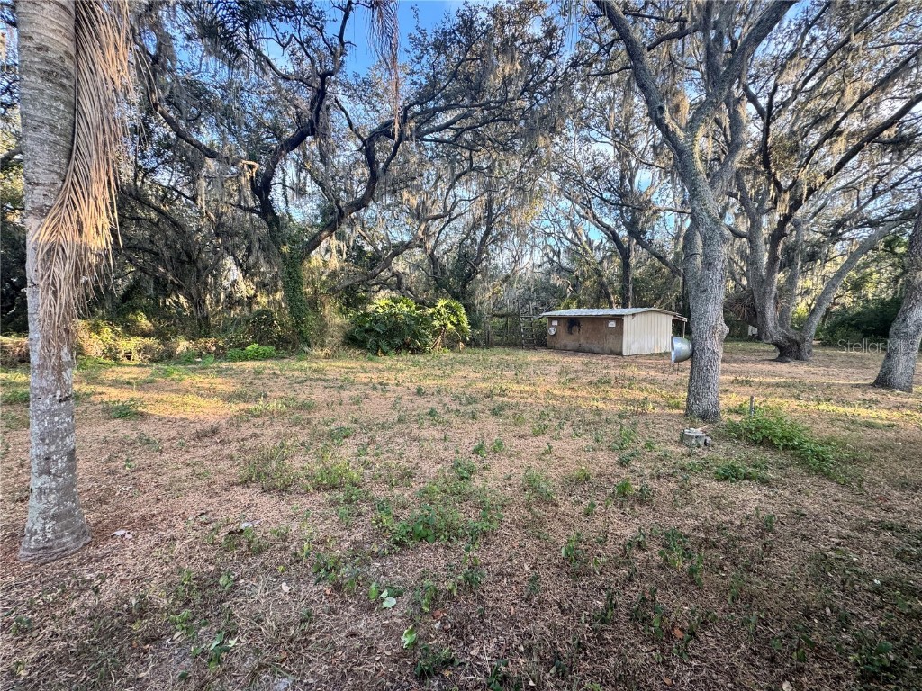 1516 Hawk Griffin Road Plant City FL 33563 L4957525 image16