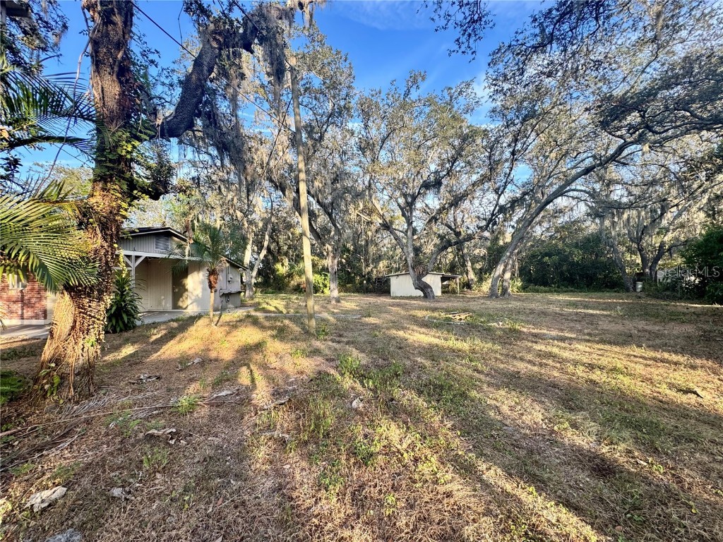 1516 Hawk Griffin Road Plant City FL 33563 L4957525 image5