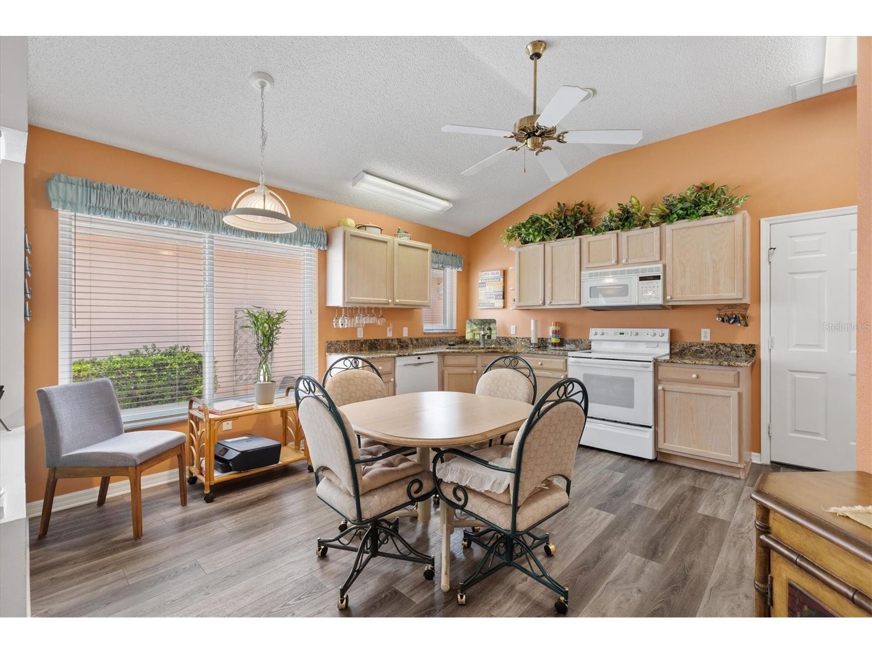 1516 Martinez Drive Lady Lake FL 32159 G5113765 image5