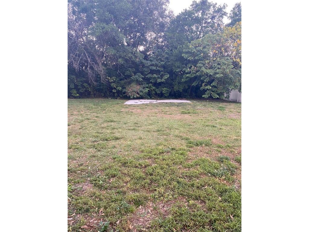 1516 Regan Avenue Orlando FL 32807 O6362644 image2