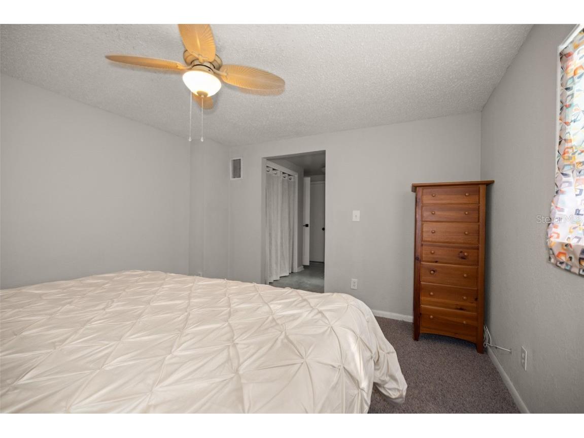 1516 Santa Anna Drive Dunedin FL 34698 TB8461131 image21