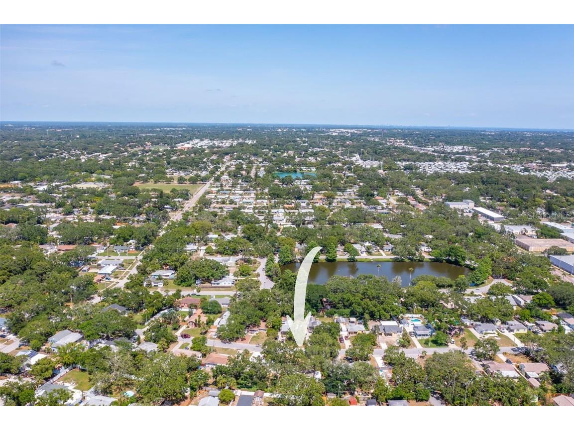 1516 Santa Anna Drive Dunedin FL 34698 TB8461131 image40