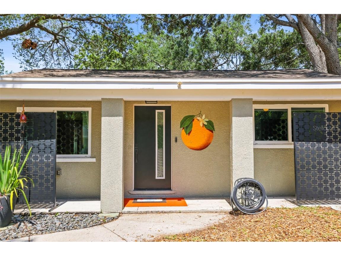 1516 Santa Anna Drive Dunedin FL 34698 TB8461131 image41