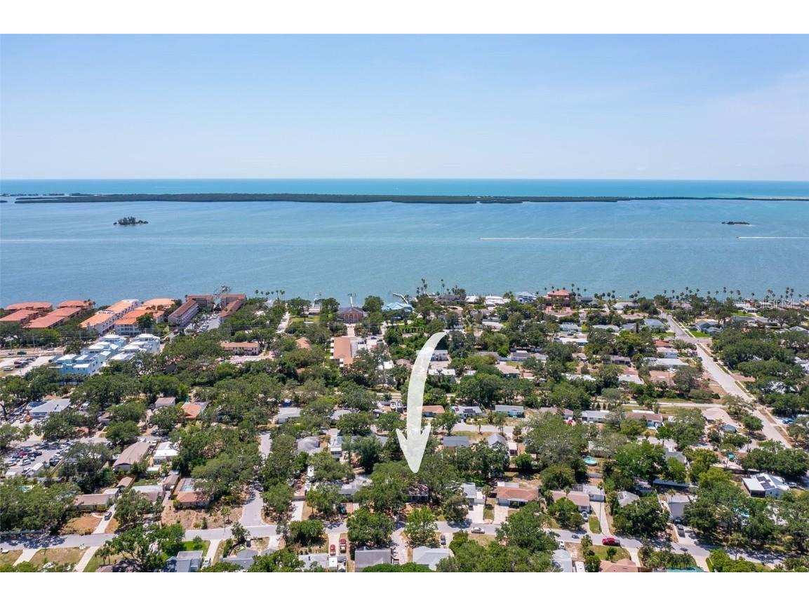 1516 Santa Anna Drive Dunedin FL 34698 TB8461131 image44