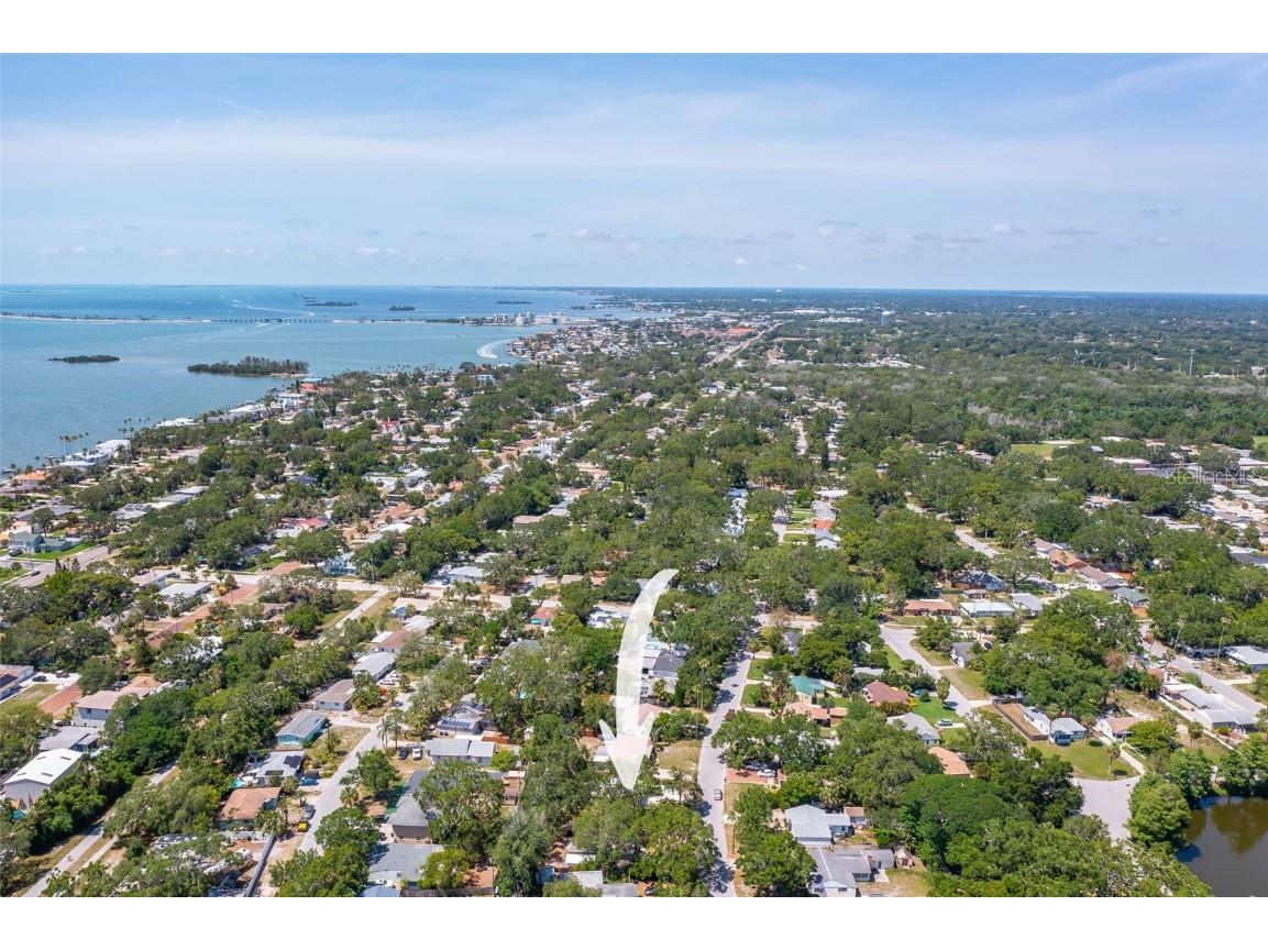 1516 Santa Anna Drive Dunedin FL 34698 TB8461131 image45