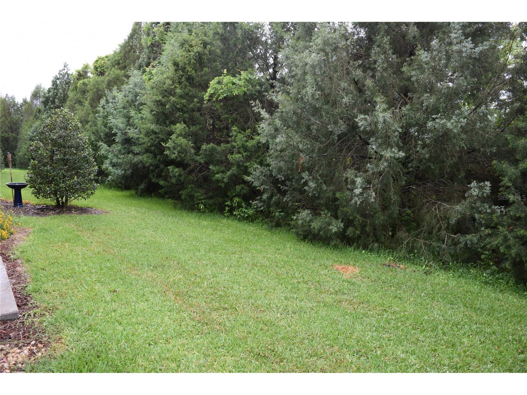 1516 Scarlet Oak Loop #B Winter Garden FL 34787 O6410897 image18