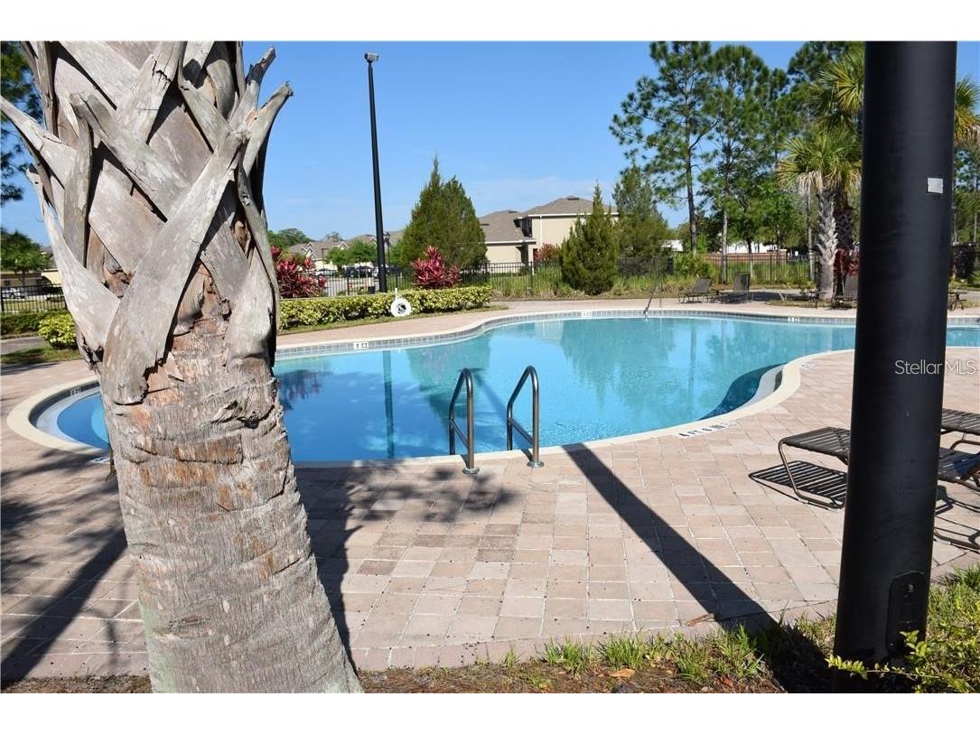 1516 Scarlet Oak Loop #B Winter Garden FL 34787 O6410897 image19