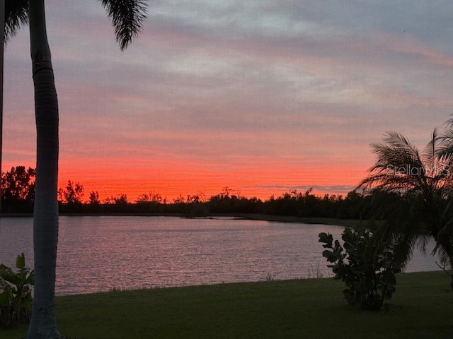 1516 Yale Castle Court Ruskin FL 33570 TB8430482 image45