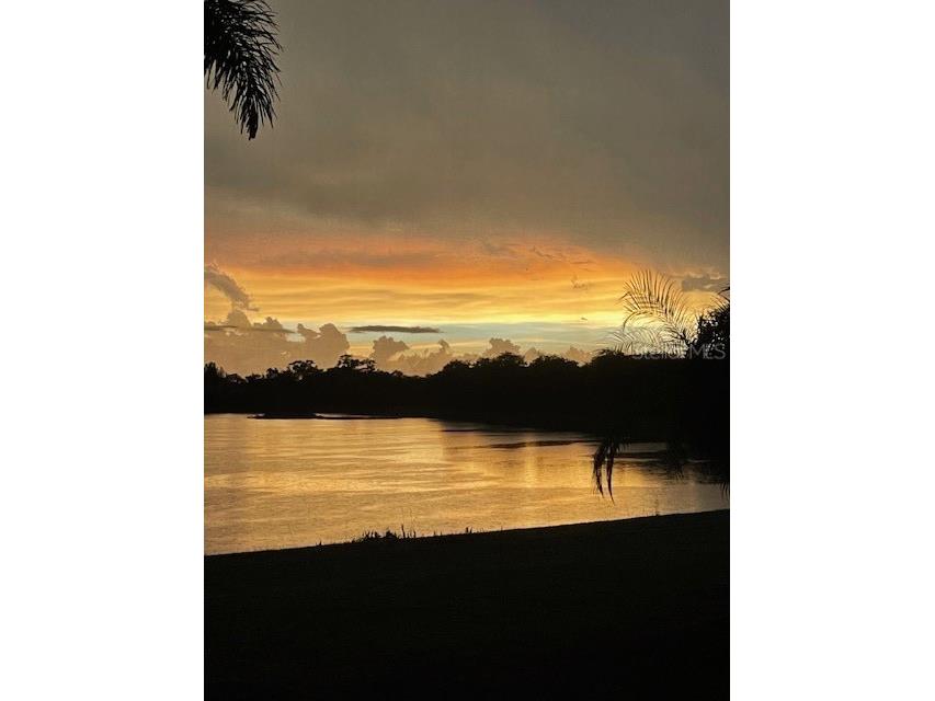 1516 Yale Castle Court Ruskin FL 33570 TB8430482 image5