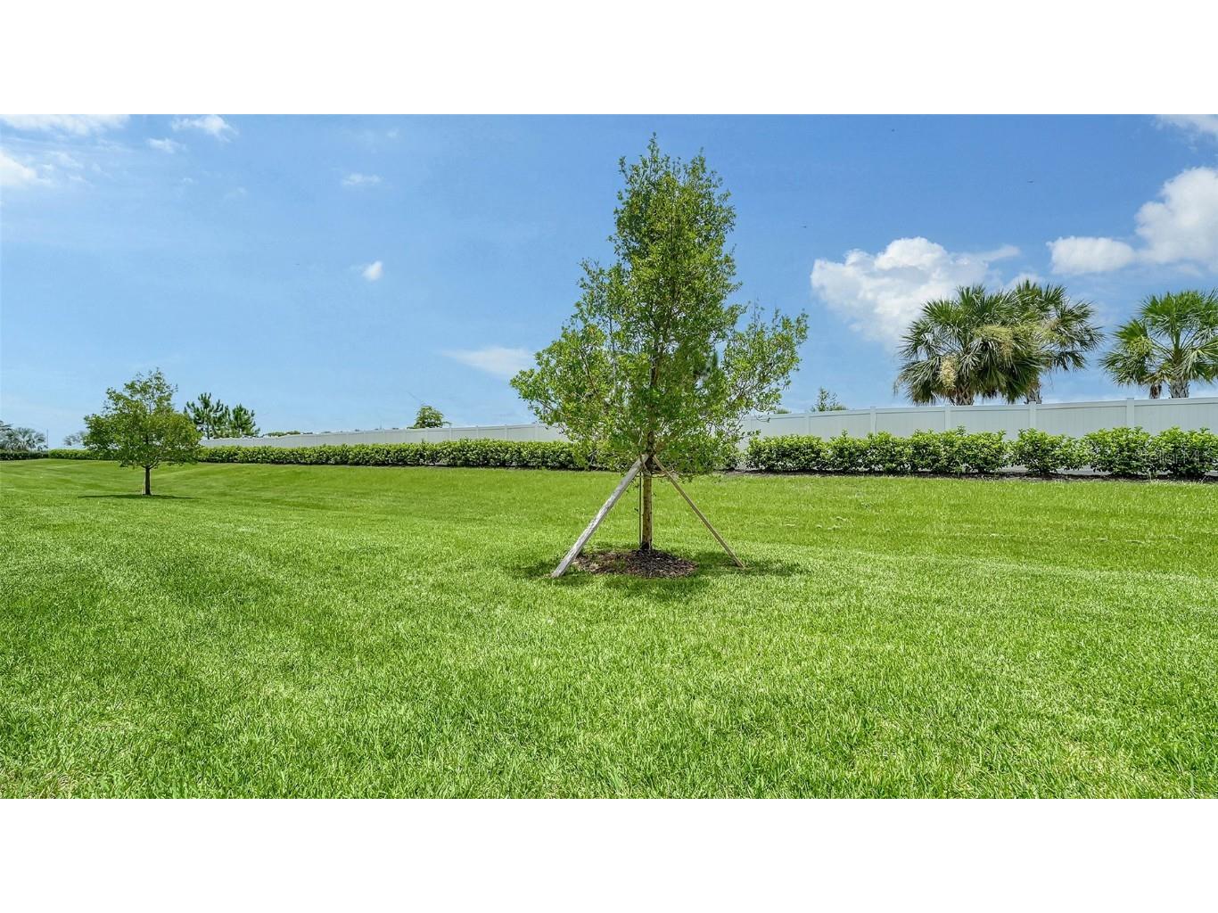 15160 Lyla Terrace Bradenton FL 34211 A4657939 image28